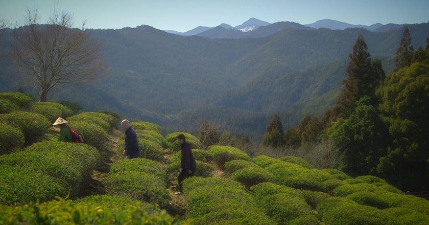 Kansai’nin antik hac yolu ve eşsiz manzarası