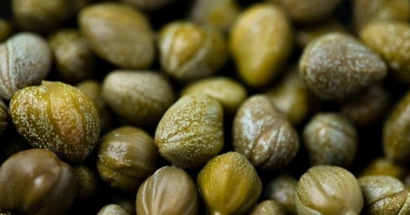 Herkes araştırma yapıyor: Kapari faydaları nelerdir? Bu ne için iyi? Kapari’nin az bilinen faydaları