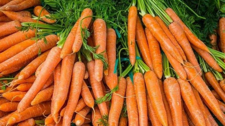 Tok tutar: Havuç şişmanlatır mı?  Havuç şişmanlatır mı?