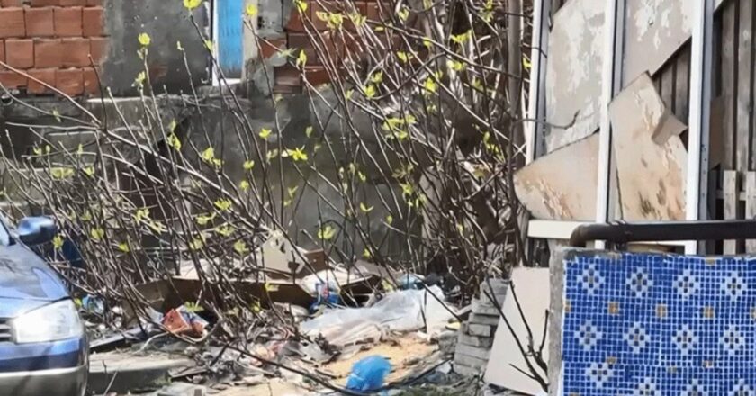 İstanbul’da korkunç cinayet: Arkadaşını öldürdü ve onu boş bir toprağa attı! – Türkiye haberlerini kırmak