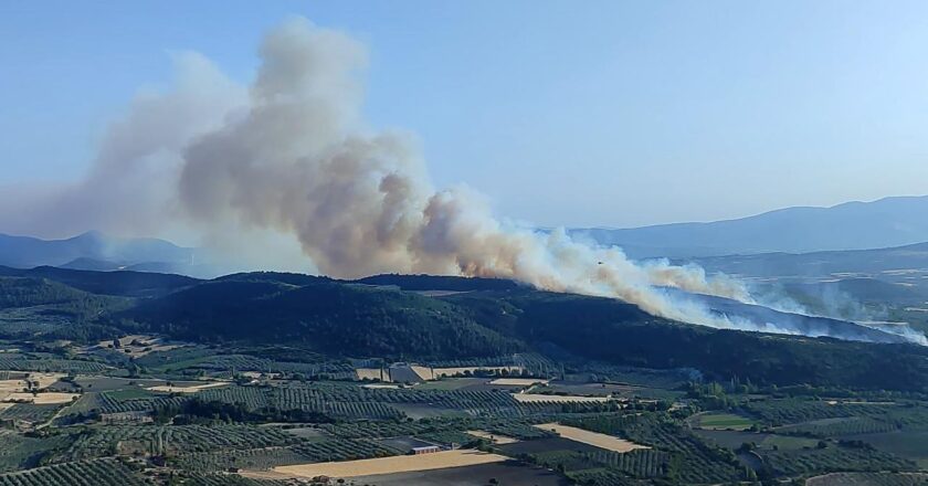Manisa’da Orman Ateşi – Son dakika haberleri