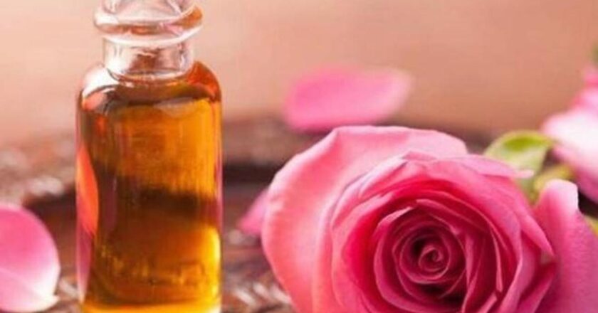 Cildi temizleyen yağ: Gül yağının faydaları nelerdir? Ne için iyi? Gül yağı’ndan daha az bilinen faydalar