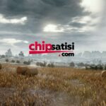 Zynga Poker Chip – Kesintisiz Oyun Deneyimi İçin Kurumsal Çözüm