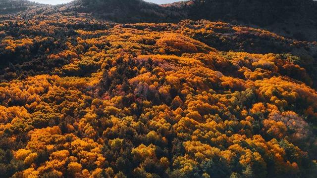 Karagöl Tabiat Parkı 3'te sonbahar renkli görüntüler yarattı