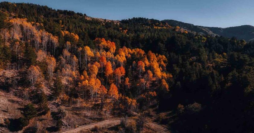 Karagöl Tabiat Parkı’nda sonbahar renkli görüntüler yarattı